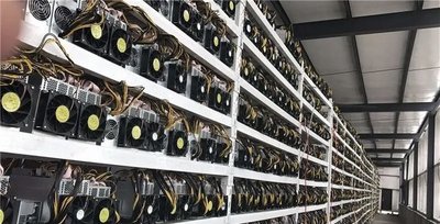 Large-scale mining farm with rows of hosted machines