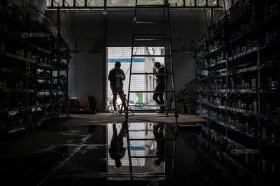 Modern Japanese Mining Farm demonstrating advanced cooling methods